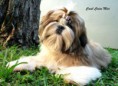 /album/linda/a255551-463553763673393-1565563976-n-jpg/