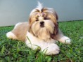 /album/linda/a543220-463554070340029-1543154795-n-jpg/
